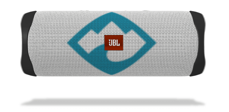 Customized JBL Flip 5 Bluetooth Speaker